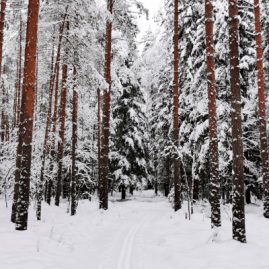 Пижамная медитация