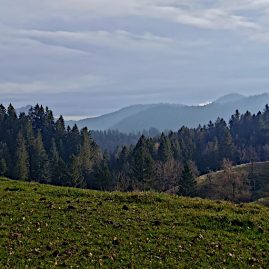 Ретрит в Словении