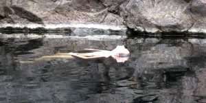 Медитация в воде