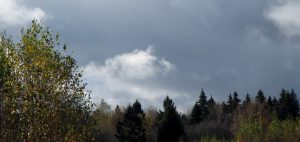 осенняя хандра