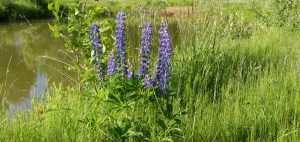 Короткая передышка или изменение? Не повторяйте эту ошибку.