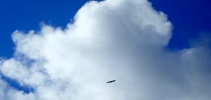 Непривязанность. Рад тебя видеть, совсем не скучал.