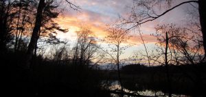 не ройтесь в помойке