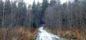 Крашеная пустота