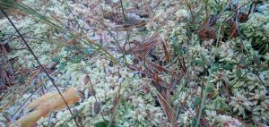 Задержать дыхание