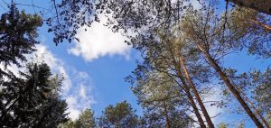 Курс "За Радостью"