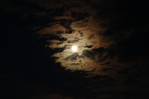 Луна и палец. Куда смотрит учитель?