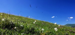 зачем нужна медитация