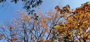 инструменты и практики