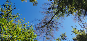 «Вот бы обменять боль на радость!»