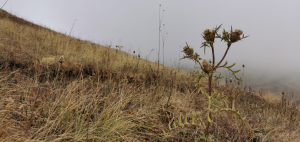 Почему люди на одной стороне грызутся между собой?