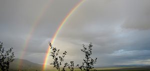 Сколько цветов в радуге - правда об эмоциях