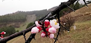 КАК ЧАСТО ВЫ ВЫБИРАЕТЕ между собой и другими?