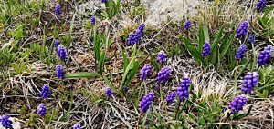 Отпустить, чтобы сберечь