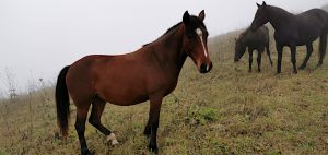 Страшно продолжать практику