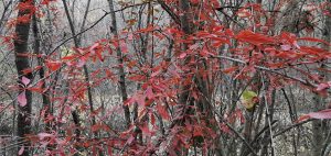 Когда вы обессилены. Практика