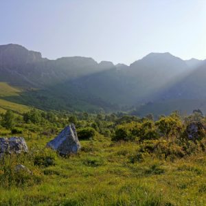 Живая Тишина